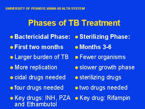 Phases Of TB Treatment